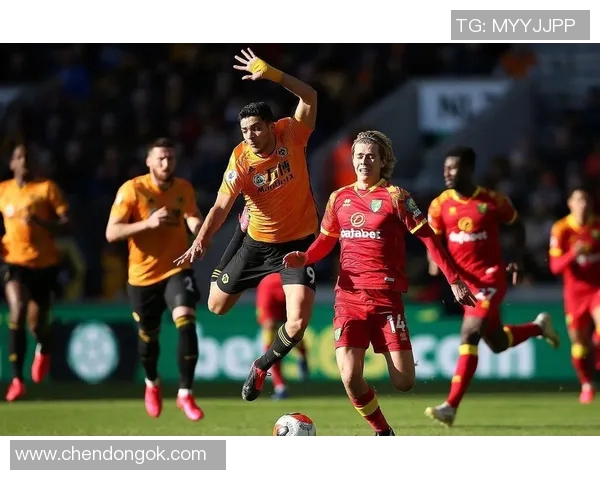 狼队与水晶宫的历史交锋回顾及战绩分析